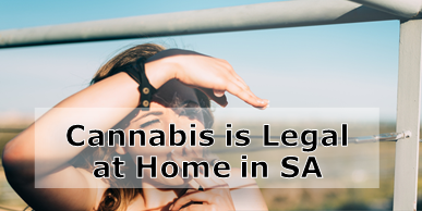 Cannabis Oil is Now Legal at Home in South Africa!